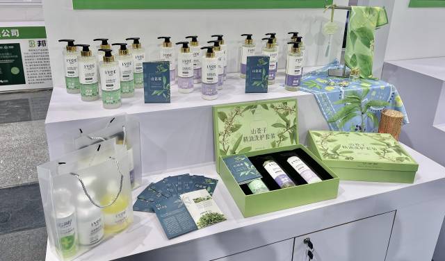 粤北山野“小辛香”如何迈向“大市场”CQ9电子app一颗山苍子的新生:(图5) 粤北山野“小辛香”如何迈向“大市场”CQ9电子app一颗山苍子的新生:(图5)